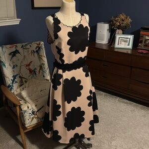 Kate Spade Blush and Black Floral Fit and Flare with Scallop Detail
